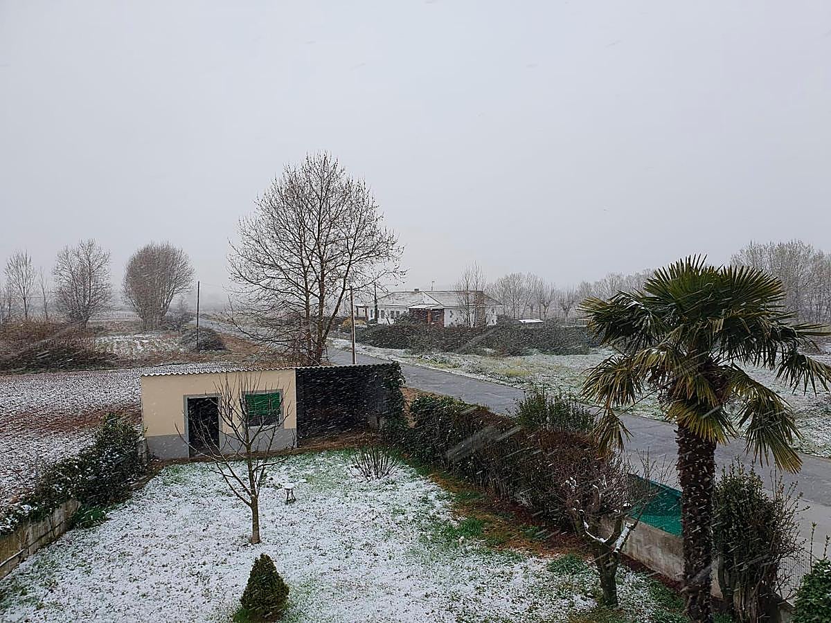 Imágenes de la carretera de Nuevo Naharros.