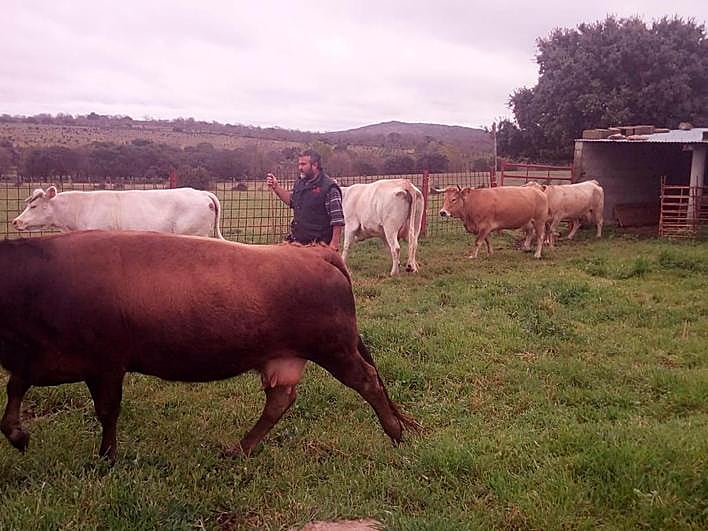 Andres, este lunes en su explotación de Lumbrales.