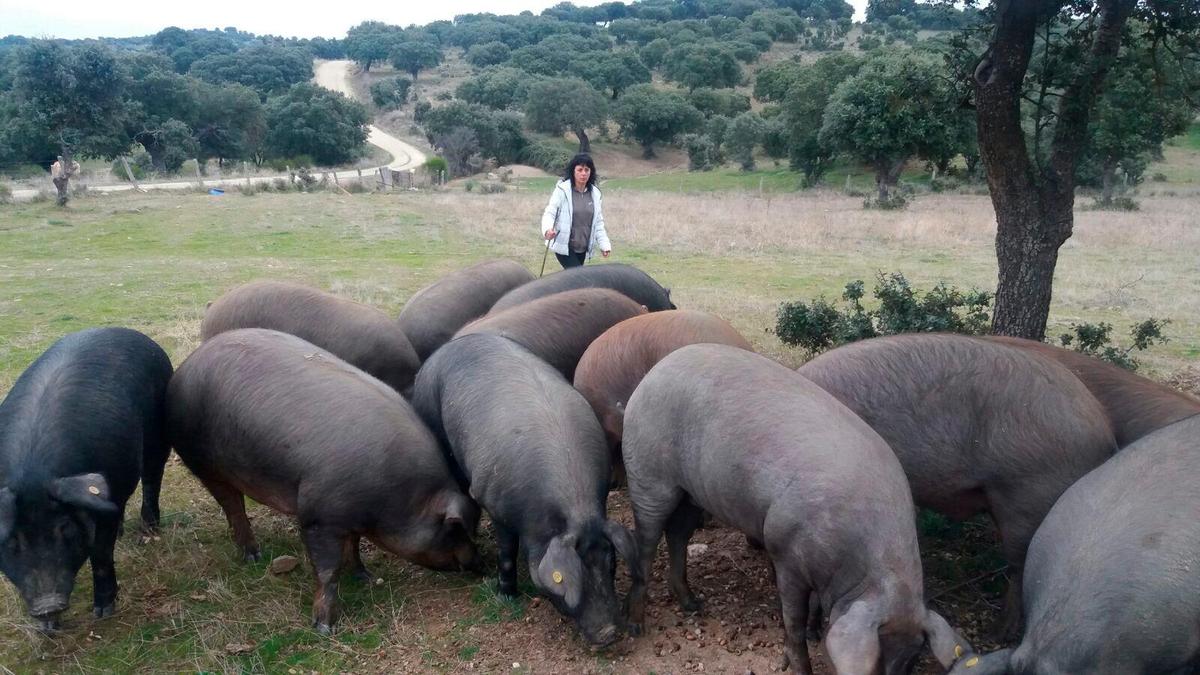 Susana Vallejo en su explotación de Cespedosa, antes de la pandemia.