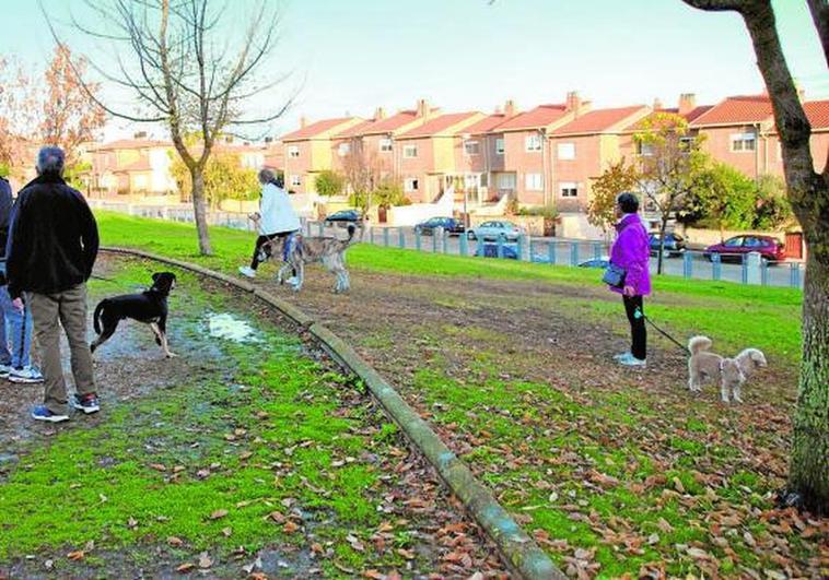 Vecinos de Cabrerizos con sus perros en el parque del Teso de la Cruz.