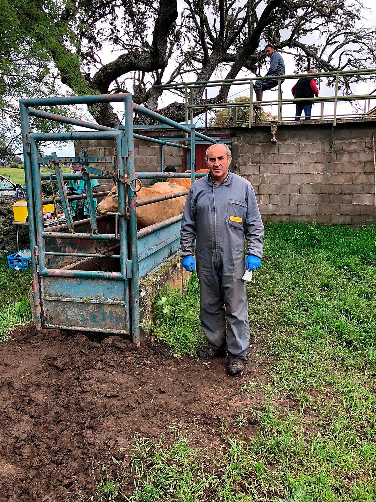 Rafael García en su explotación de Villarmayor