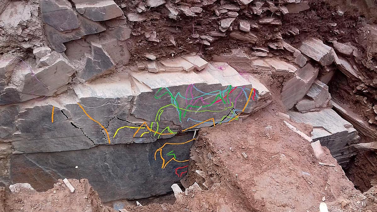 Fotografía del hallazgo rupestre publicada por el Parque Arqueológico del Vale del Côa, en Portugal.