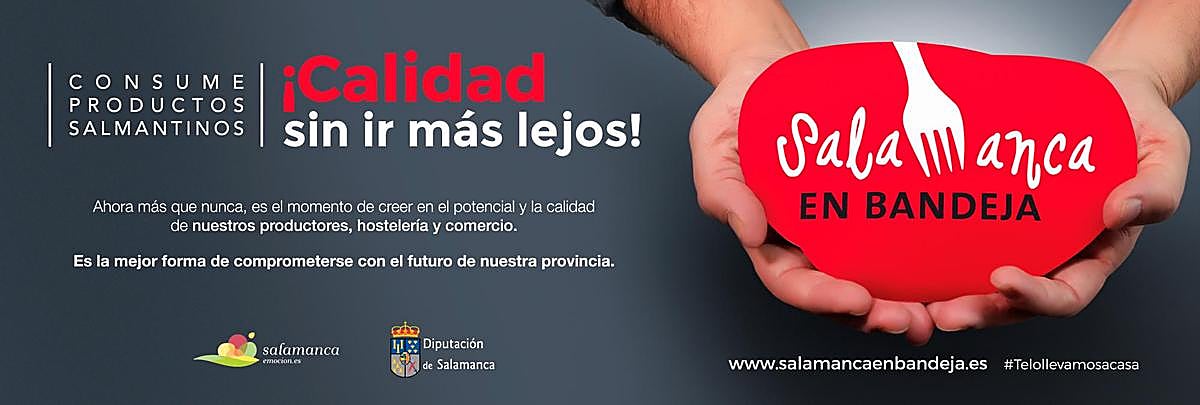 Cartel de la campaña.