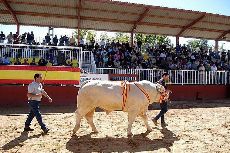 El anillo de exhibiciones acogerá este año los concursos además de las subastas.