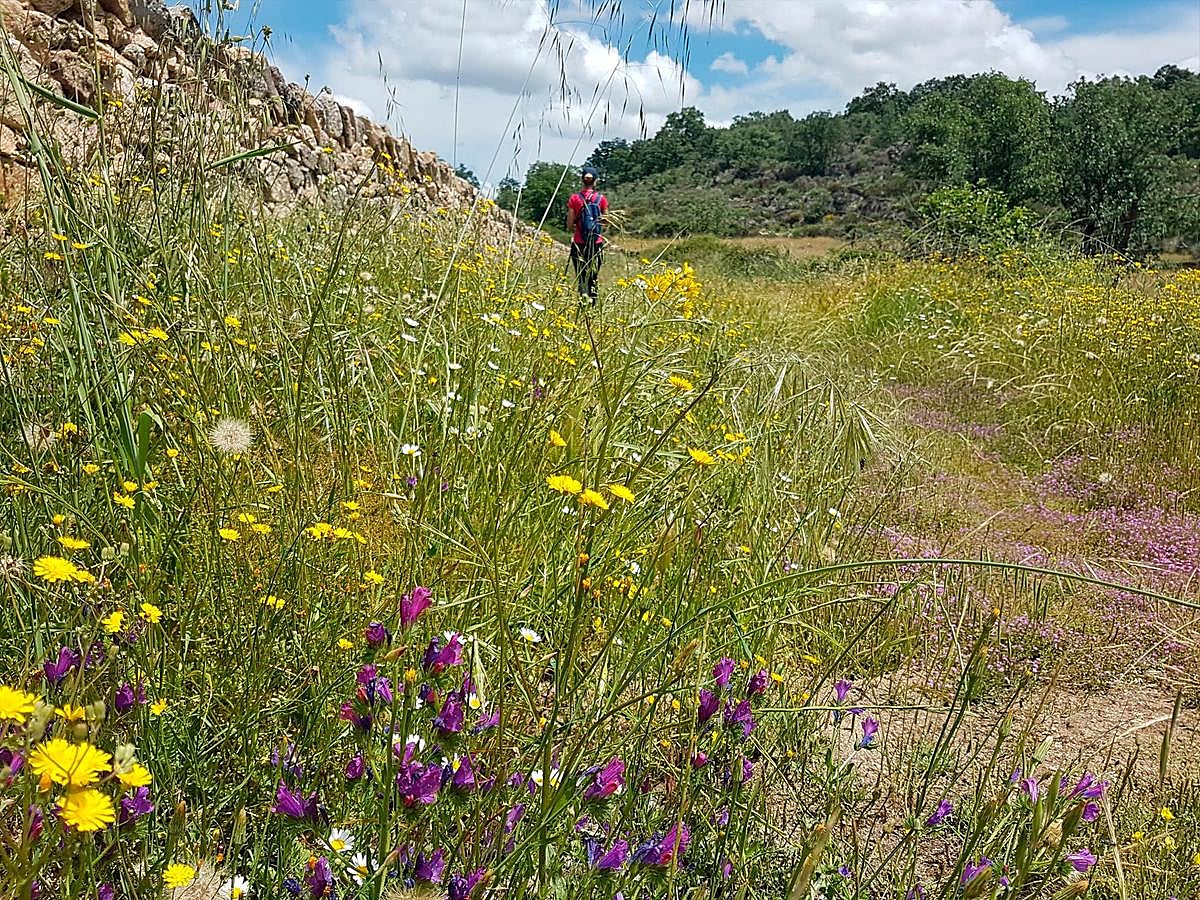 Una personas realizando senderismo en el entorno de la localidad de Saldeana.