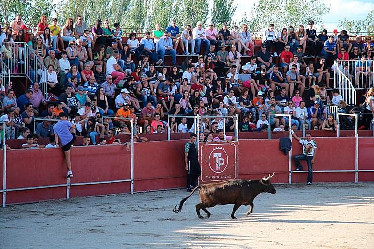Los festejos taurinos ‘peligran’ este año en Santa Marta y Carbajosa.
