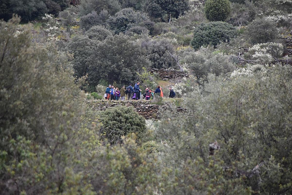 Marcha senderista de Vilvestre a La Barca el pasado mes de marzo, justo antes del estado de alarma.