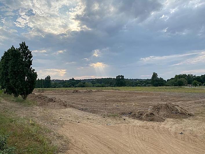 La parcela que acogerá la plantación de árboles y la zona deportiva.