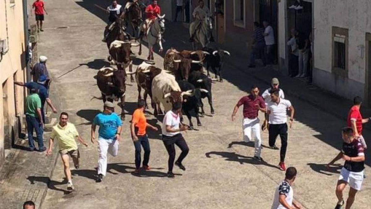 Agosto ‘huérfano’ de encierros en Salamanca. Otros de los más afamados se ‘caen’ del calendario taurino