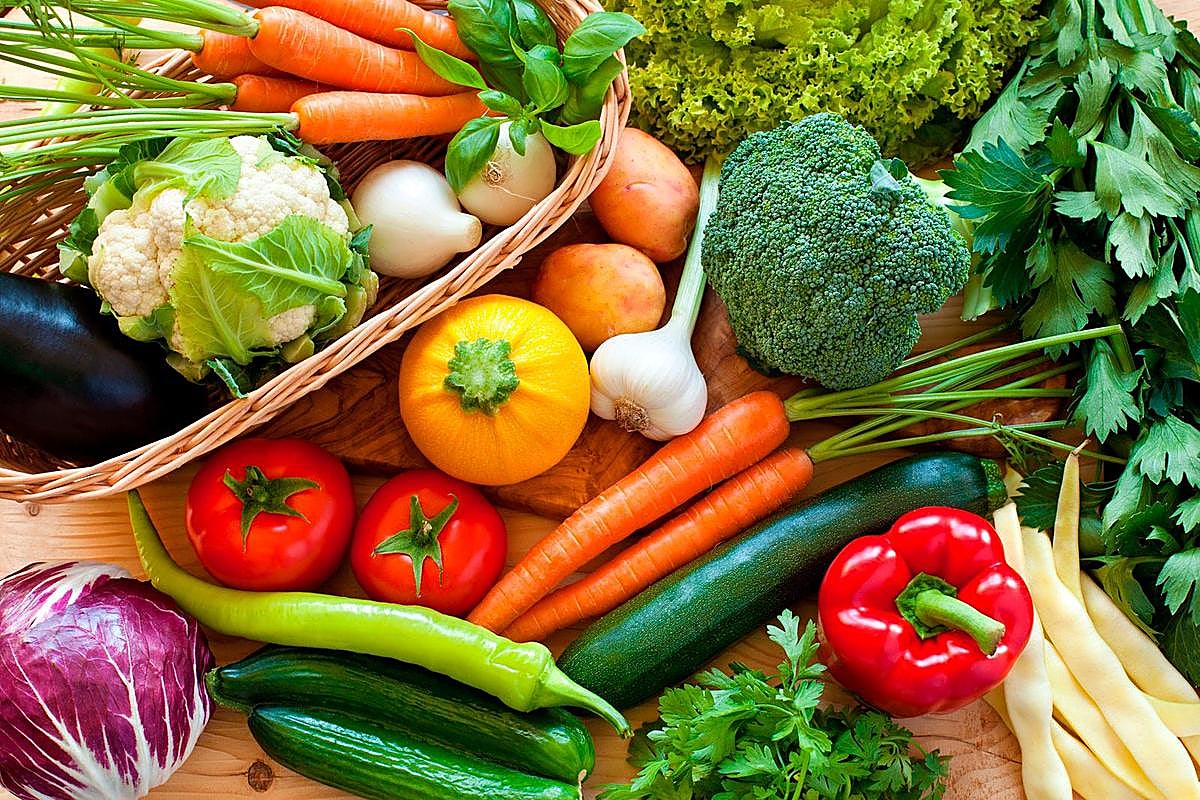 Varios tipos de vegetales.