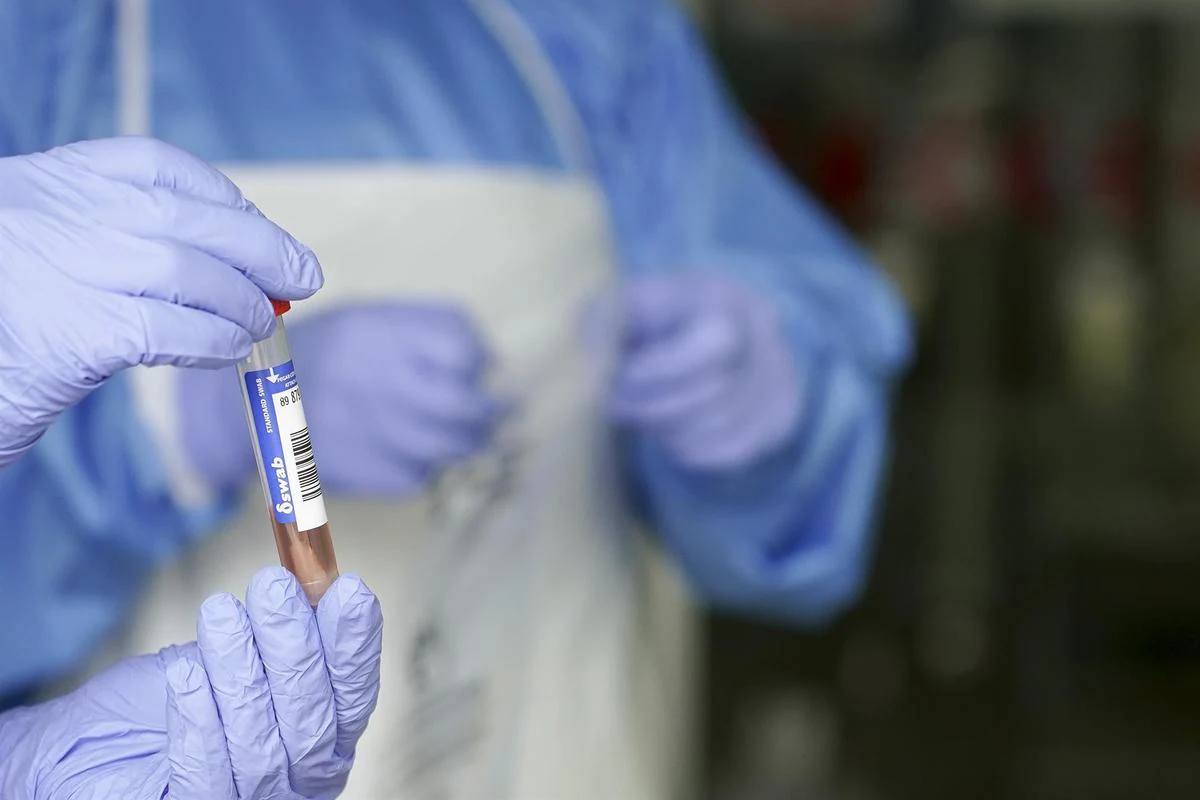 Un sanitario sostiene un muestra para realizar un Análisis PCR.