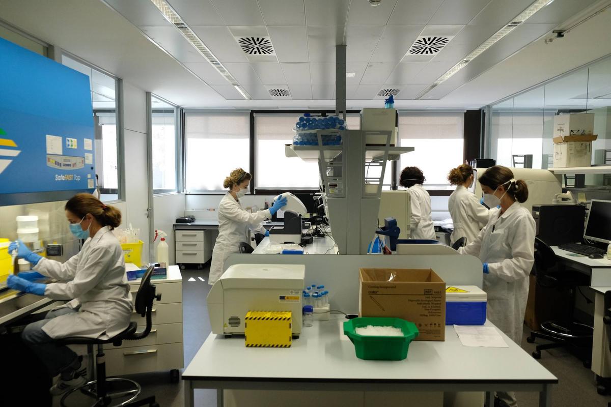 Investigadores en un laboratorio de la Universidad de Salamanca.