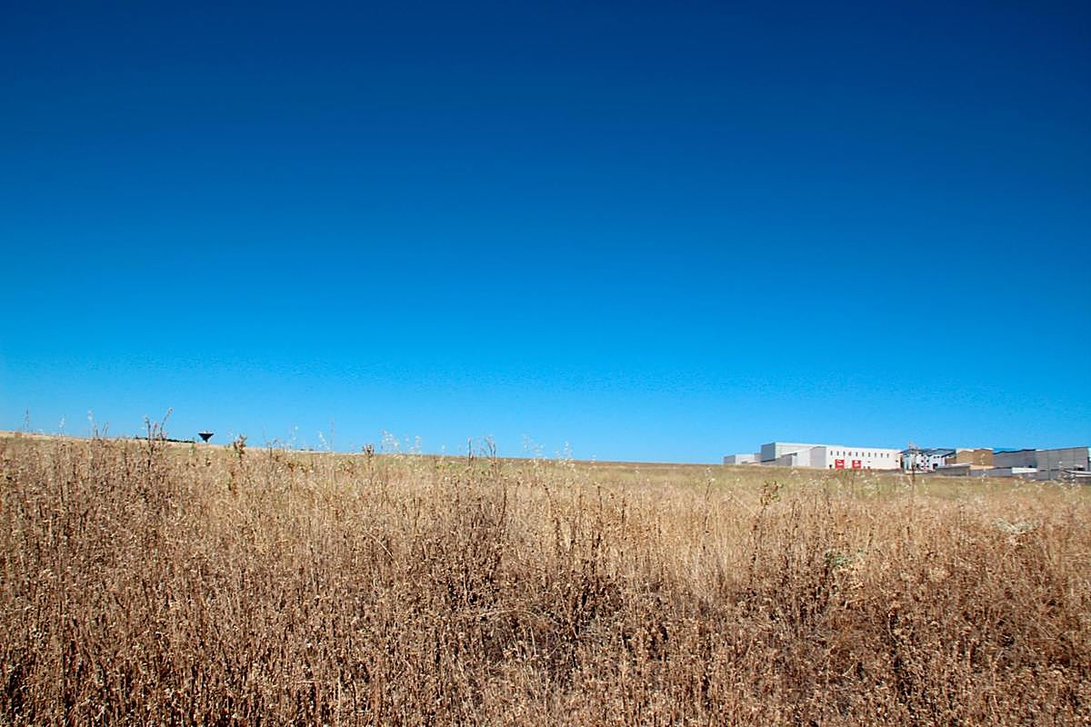 Terrenos donde se llevará a cabo la ampliación del polígono El Montalvo III en Carbajosa de la Sagrada.