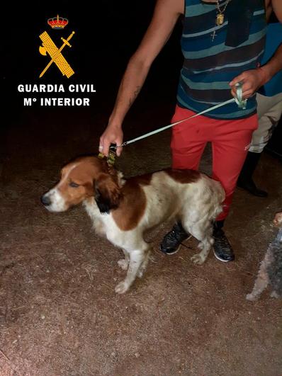 Pillan en Villar de Peralonso a 6 miembros de una familia por robar perros y útiles de caza