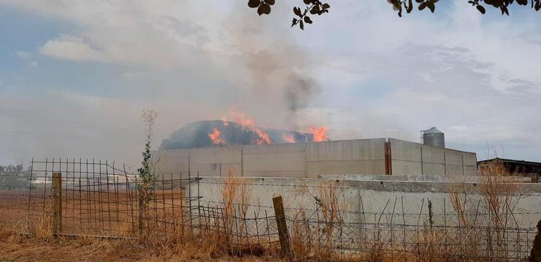 Imagen del incendio de pacas en Valdelosa.