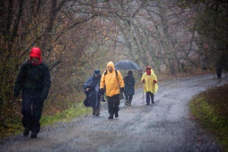 Peregrinos andando con lluvia en el Camino de Santiago.