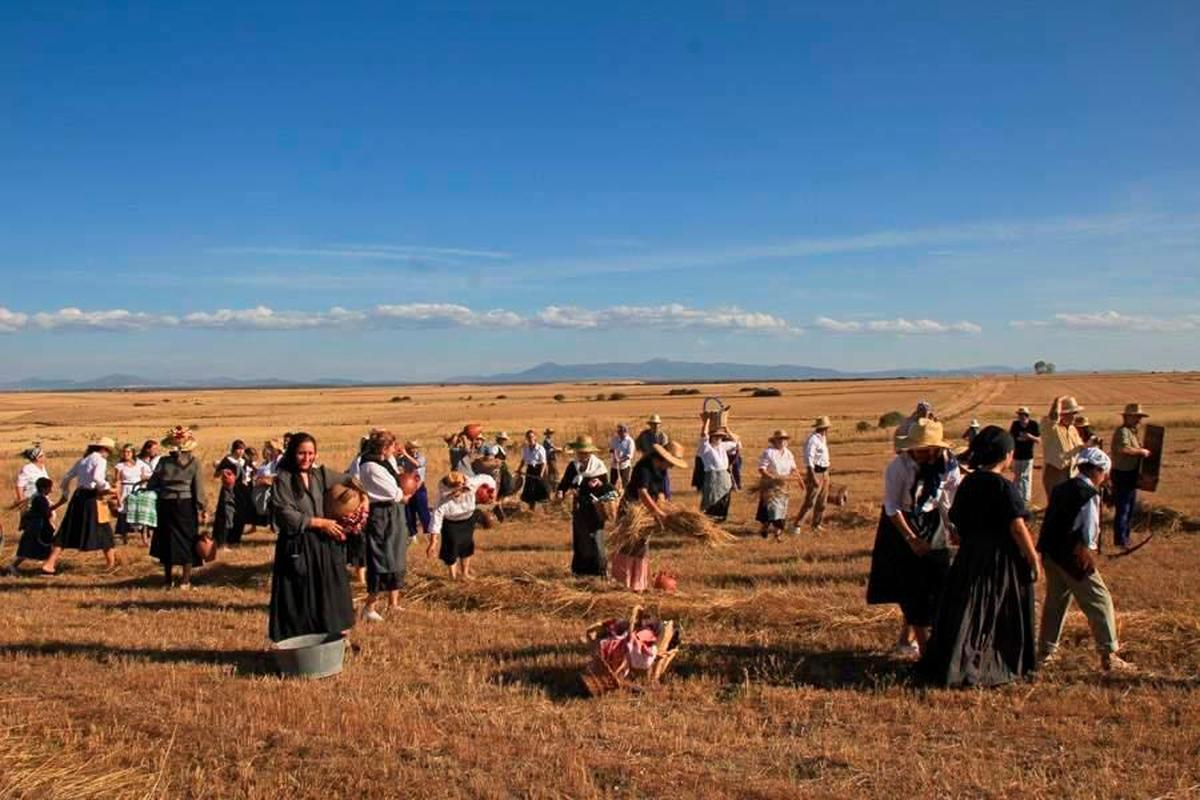 Boada. El primer ganador del certamen cautivó al jurado con su recreación de los trabajos en equipo en el campo salmantino 2011.