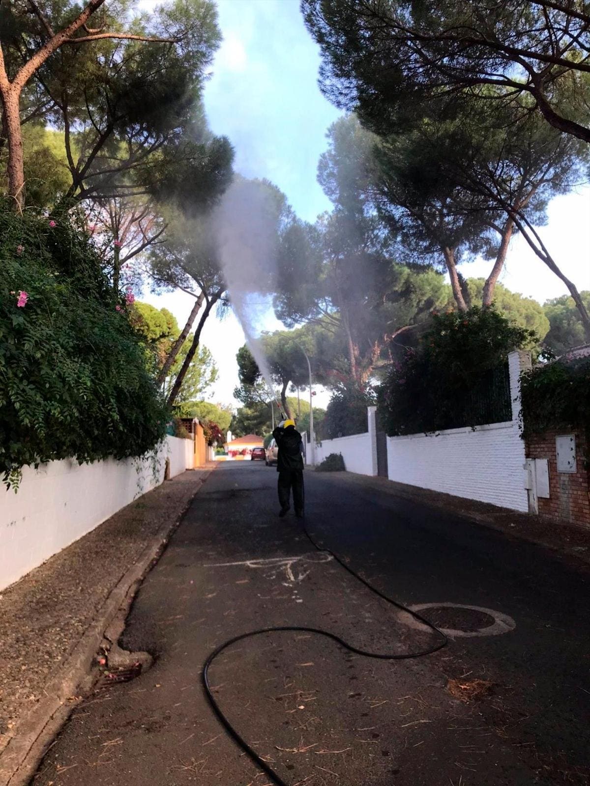 Labores de fumigación en Alcalá.