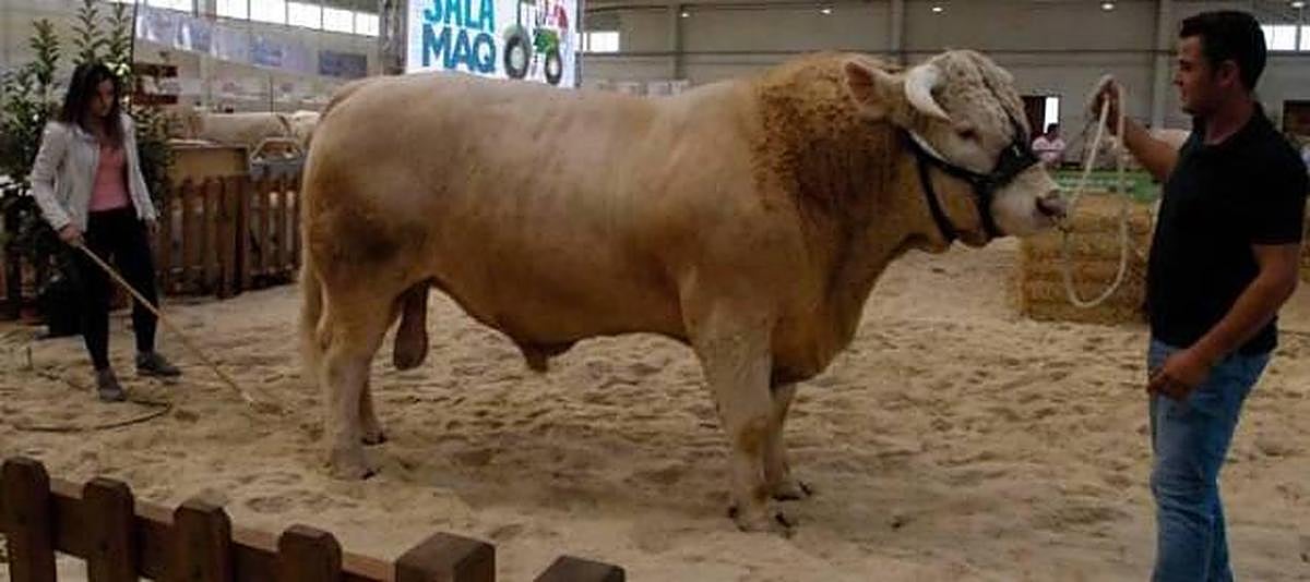 Ejemplar de la edición de Salamaq del pasado año.