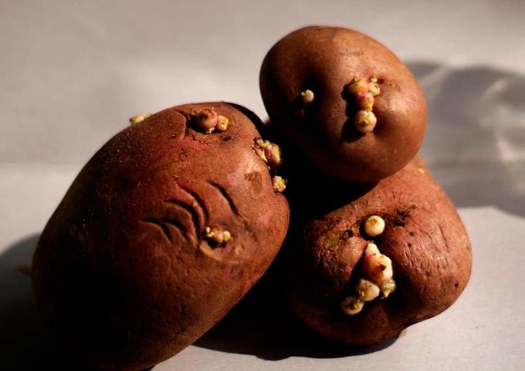 La OCU advierte de la peligrosidad de ingerir patatas con brotes