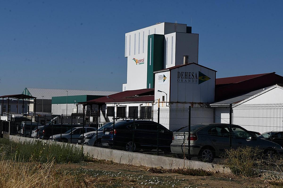 El polígono agroalimentario ya es una realidad para la comarca de Vitigudino.