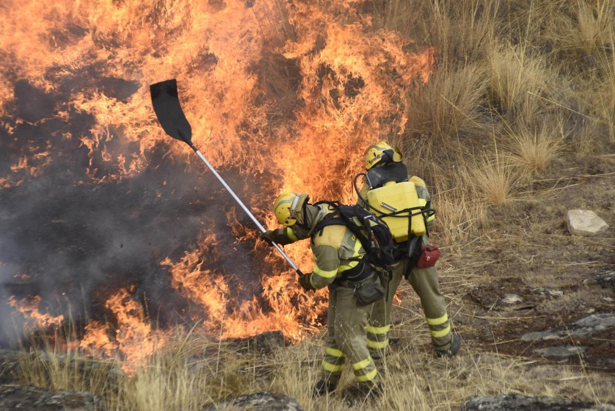 Dos miembros de las brigadas contra el fuego luchan contra las llamas en un incendio anterior.