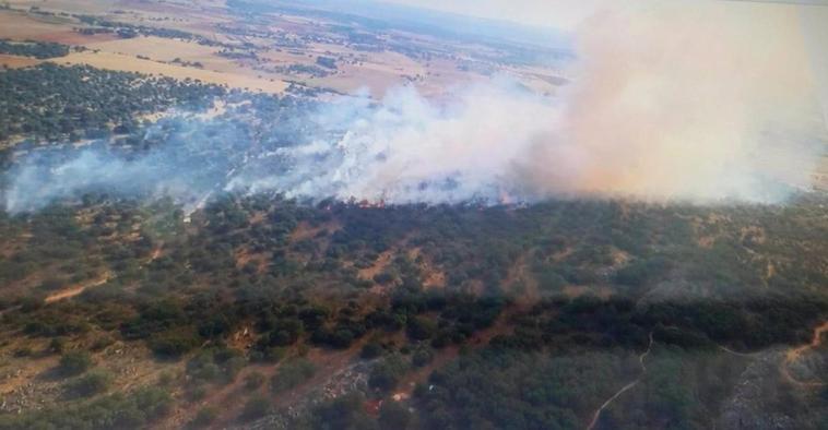 Incendio forestal en Morales de Rey (Zamora).