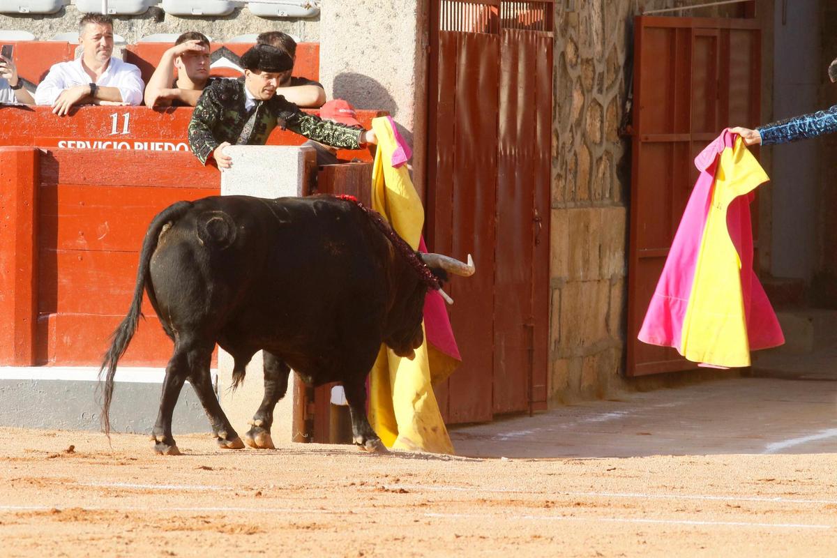 Indulto al toro Liricoso de Montalvo por Antonio Ferrera en Salamanca.