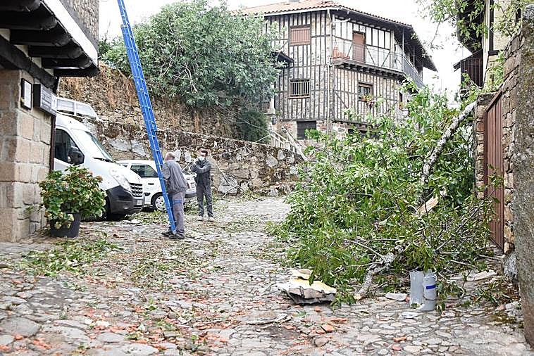 Operarios recolocando los cables caídos por el temporal sufrido.