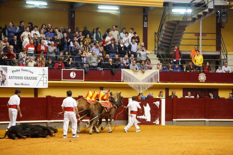 Festejo taurino en Alba de Tormes