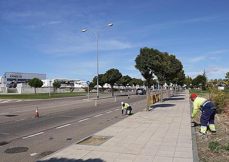 Empleados realizando las mediciones para iniciar las obras de la nueva rotonda
