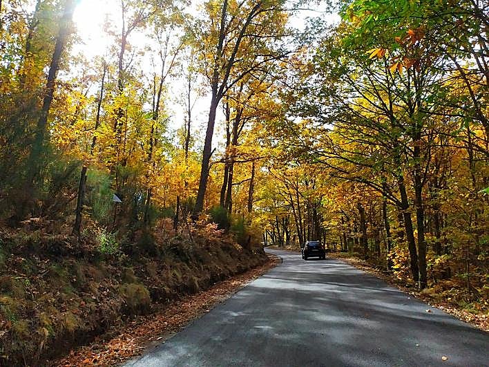 Imagen del asfaltado realizado en la carretera a La Garganta.