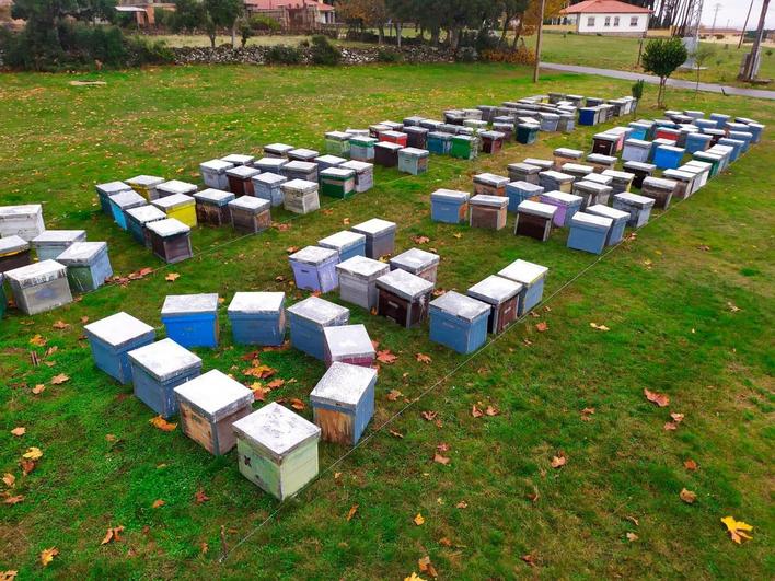 Las cajas de colmenas a la entrada del pueblo.