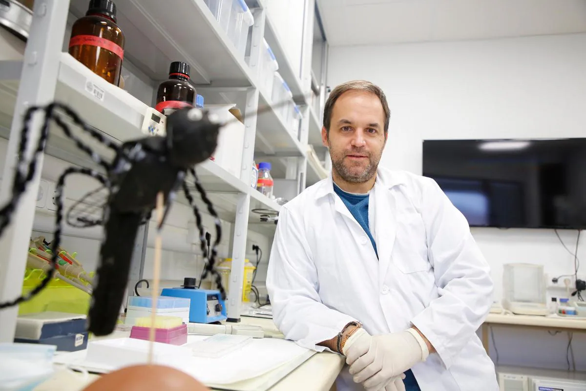 Rodrigo Morchón, en su laboratorio de Farmacia.