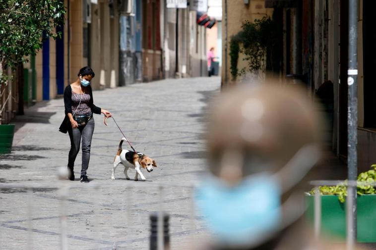 Una señora pasea su perro.