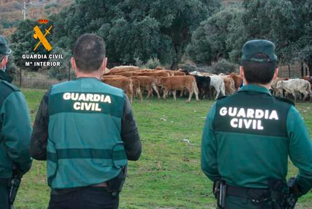 Imagen de la Guardia Civil.