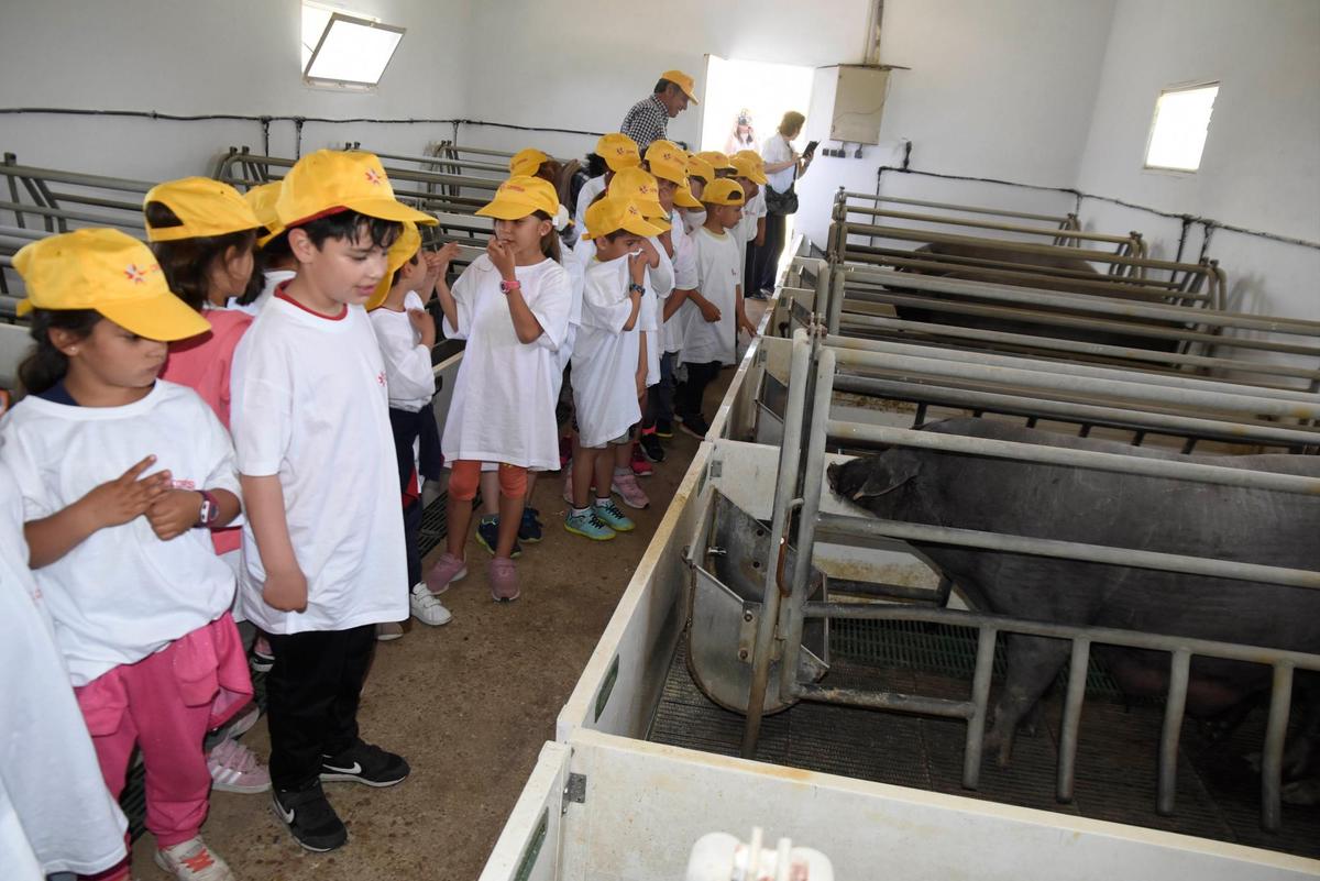 Los niños ganadores de la categoría mural disfrutan de una jornada en las instalaciones de Copasa.