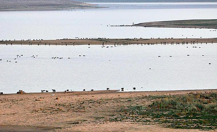 El azud de Riolobos, lugar de paso de aves migratorias.