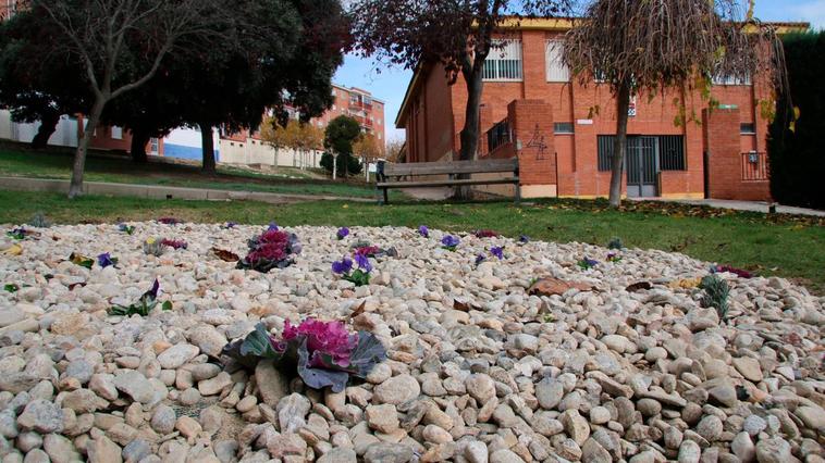 El “jardín violeta”, estará ubicado junto a la biblioteca de Terradillos.