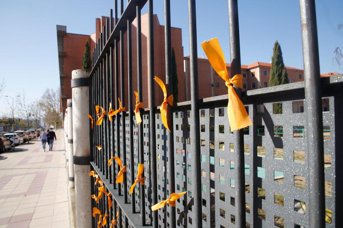 Protestas de un colegio salmantino concertado a la Ley Celaá.