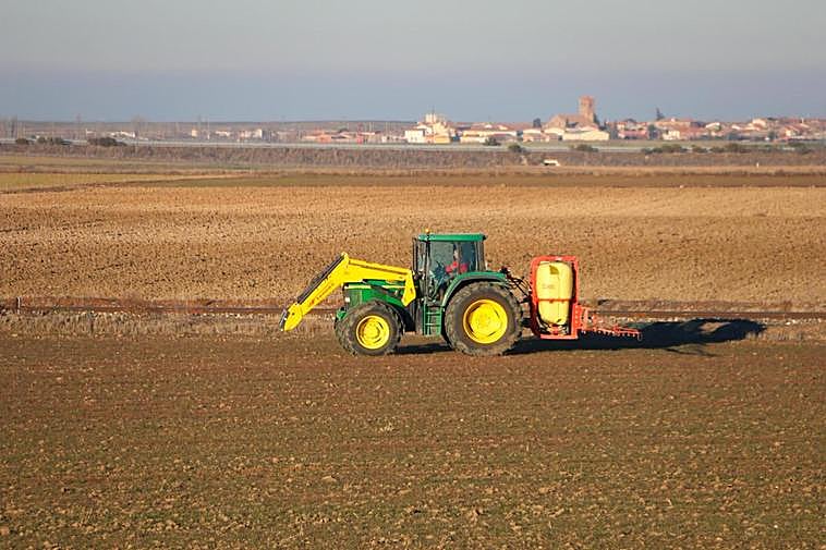 Un agricultor trabaja en una parcela de Peñaranda.