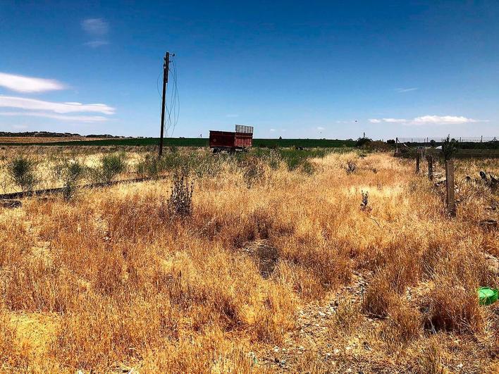 Un parque sustituirá a la maleza junto a la Ruta de la Plata.