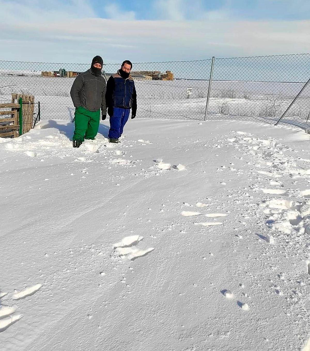 Sergio y José García Panero, andando a dar de comer a sus gallinas. | EÑE