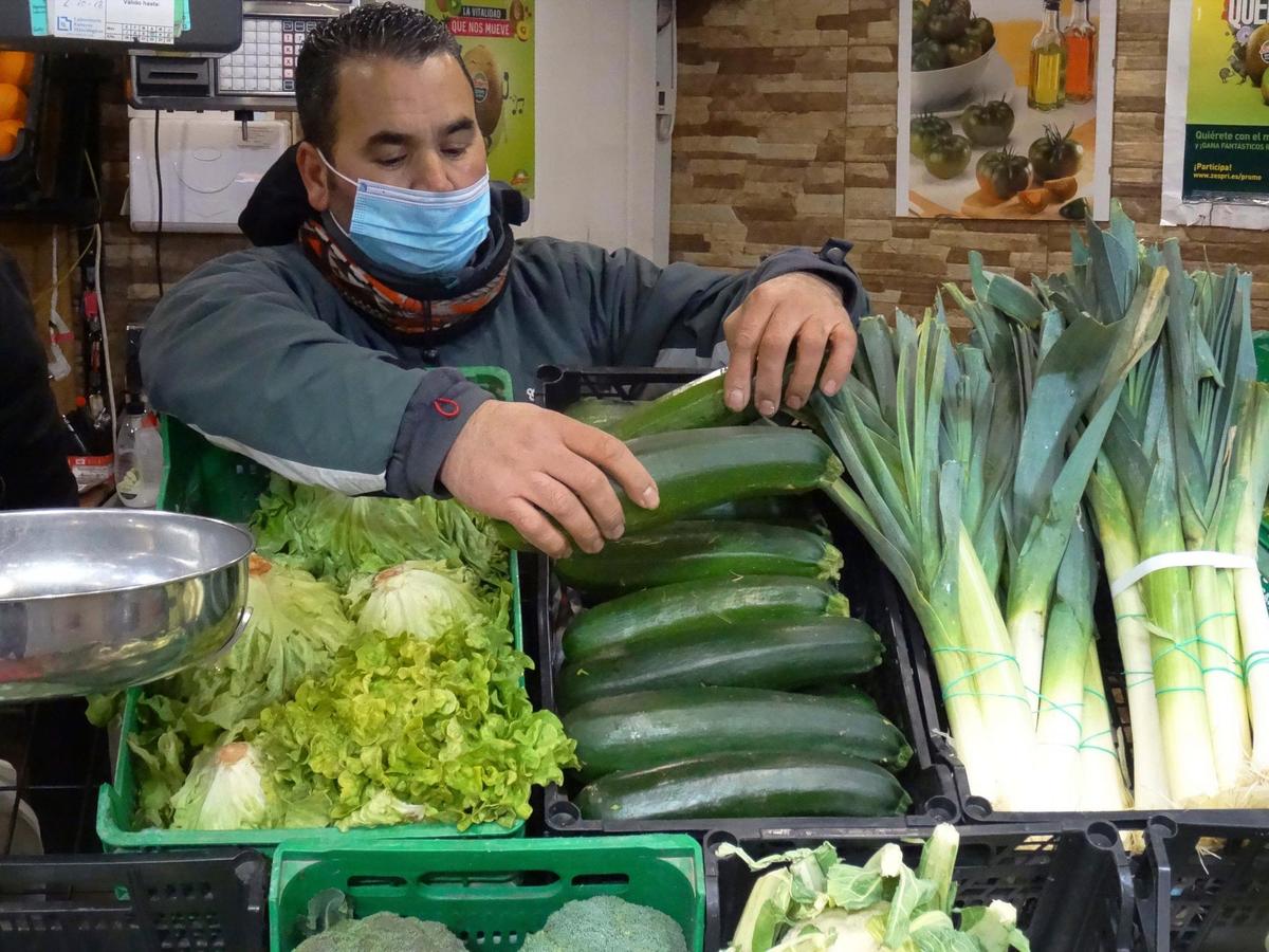 Los calabacines han disparado su precio en apenas una semana.