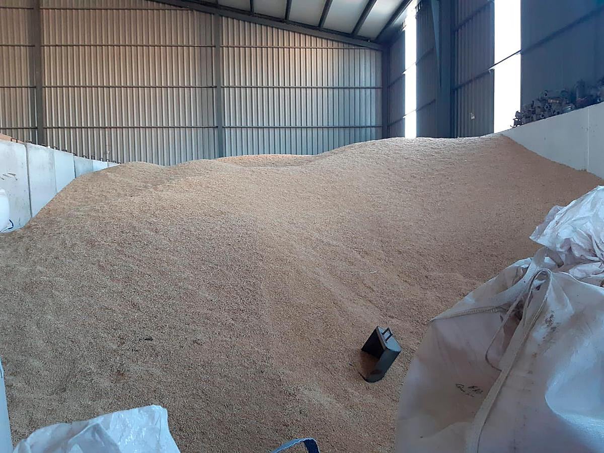 Cebada almacenada en una nave en Castellanos de Moriscos.