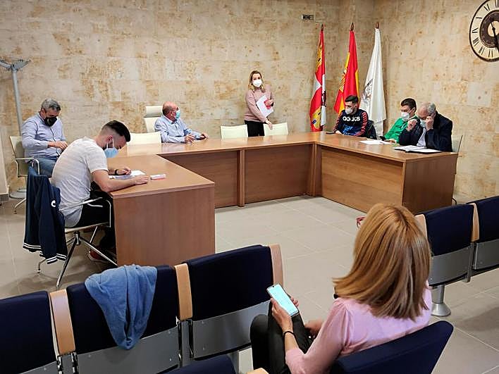 Un momento del pleno celebrado a mediodía. I TRISOL