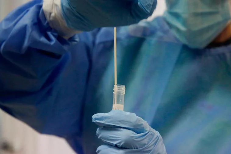 Investigadores salmantinos logran medir la carga viral en sangre con solo una PCR