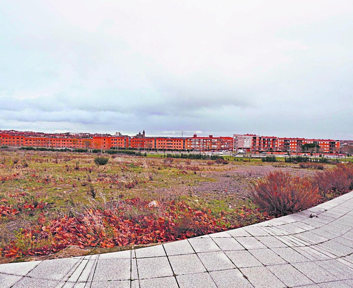 Solar en el que se construirá el futuro Campus Agroalimentario, en la zona de La Platina.