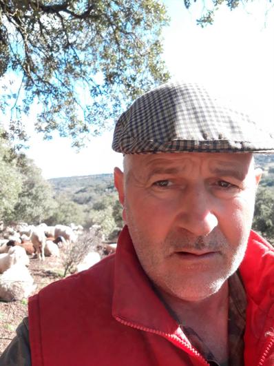 Ángel Casquero este lunes con las ovejas en la zona de la Sierra de Béjar.