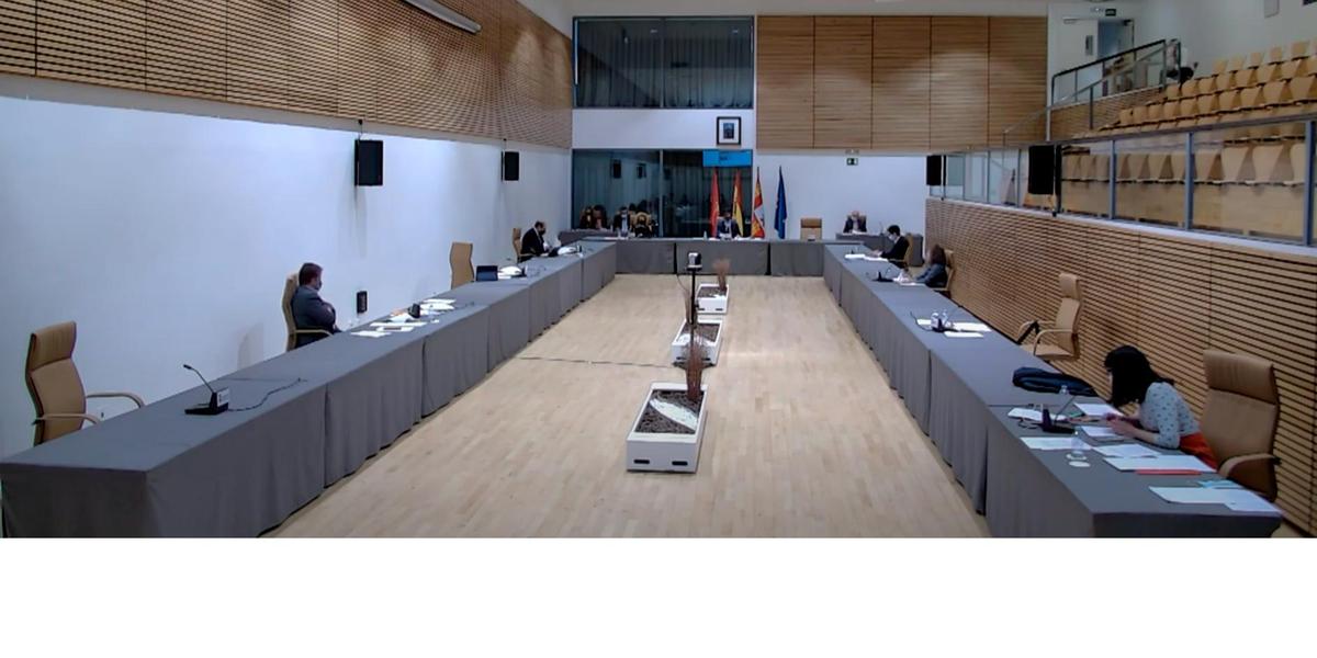 Captura de imagen del Pleno del Ayuntamiento de Salamanca.
